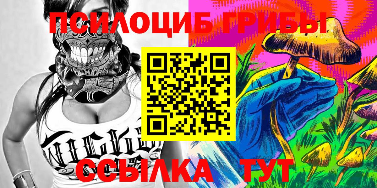 Псилоцибиновые грибы Cubensis Грозный