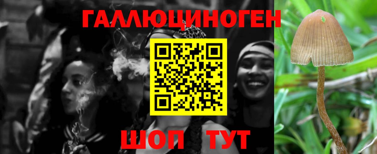 Псилоцибиновые грибы Magic Shrooms  Вход с VPN  Грозный 